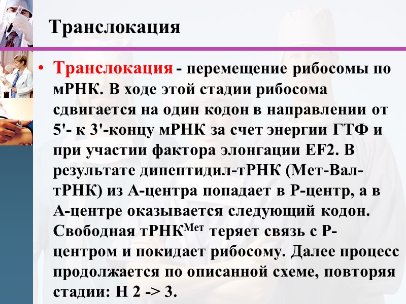 Транслокация  Транслокация - перемещение рибосомы по мРНК. В ходе этой стадии рибосома сдвигается